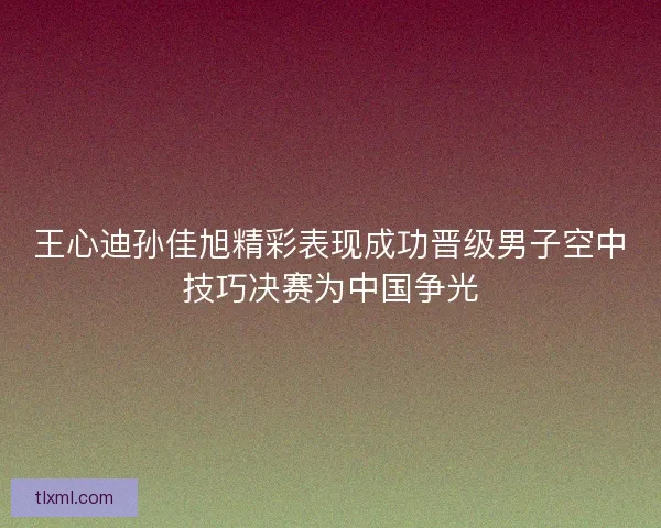 王心迪孙佳旭精彩表现成功晋级男子空中技巧决赛为中国争光